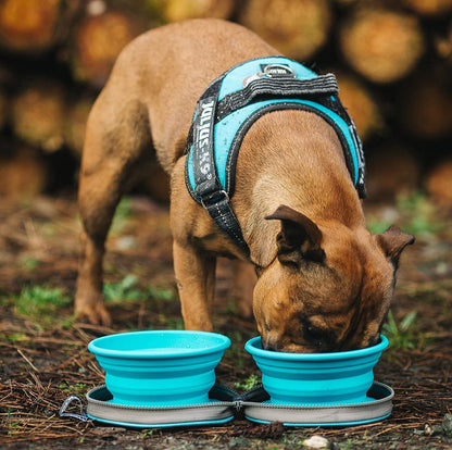 2 x Grey Large Collapsible Dog Bowls for Travel - Collapsible Dog Water Bowl with Case