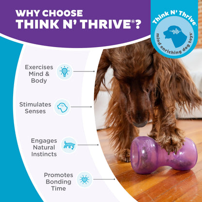 Outward Hound by Planet Dog Double Snoop Interactive Treat Dispensing Dog Toy, Purple
