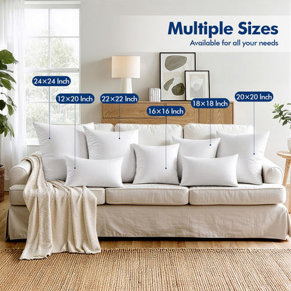 MIULEE Set of 4 Throw Pillow Inserts 20x20 Inches, 100% Virgin Filling Nowoven Pillow Inserts for Couch Sofa Living Room