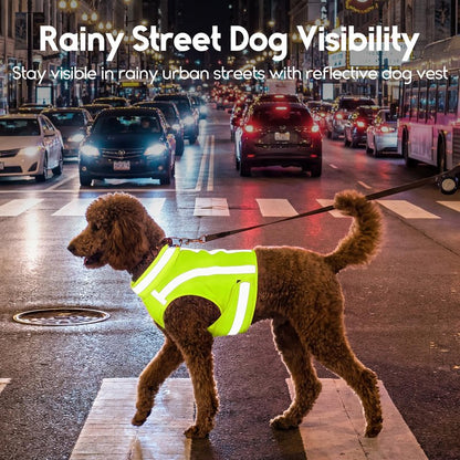 ASENKU Reflective Dog Vest, High Visibility Adjustable Hunting Vest for Pets, Dog Safety Vest for Night Walking and Outdoor Use, Green, S