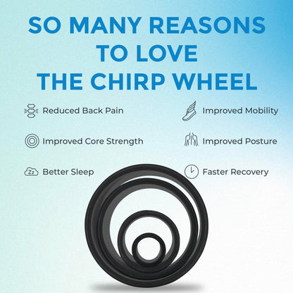 Chirp Wheel Foam Roller – Targeted Back & Neck Relief, Lumbar Spine Stretcher, Spinal Decompression Back Stretcher, Massage Roller with Density Foam for Physical Therapy, Supports 500lbs, 2-Inch Mint