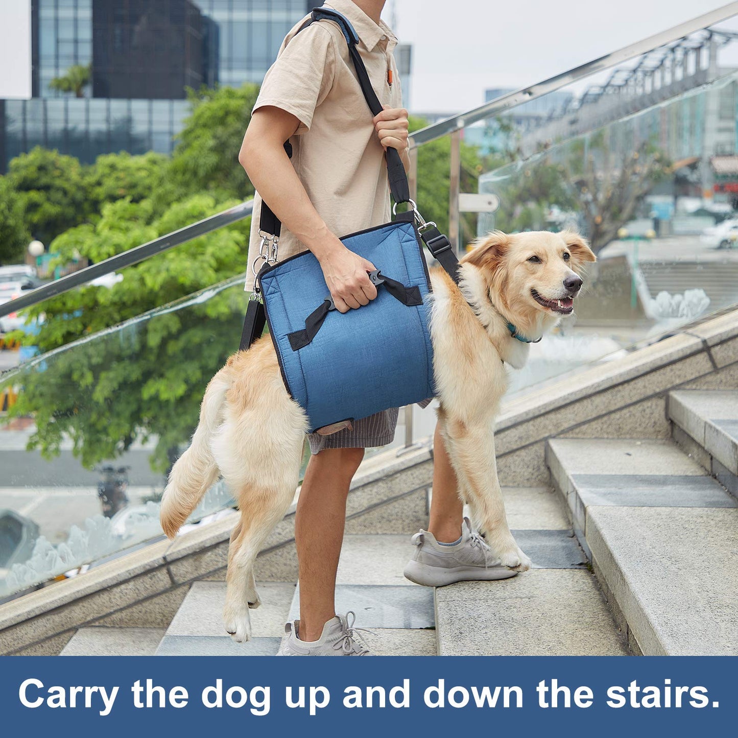 COODEO Dog Carry Sling, Emergency Backpack Pet Legs Support & Rehabilitation Dog Lift Harness for Nail Trimming, Dog Carrier for Senior Dogs Joint Injuries, Arthritis, Up and Down Stairs(2XL, Blue)