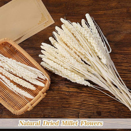 Dried Flowers Bouquet, Dry Flower Bundle, 20Pcs Natural Real Millet Flowers with Stems, Dried Floral Arrangements for Wedding Decor, Door Wreath, Home Party Vase Farmhouse Decoration (White, 17'')
