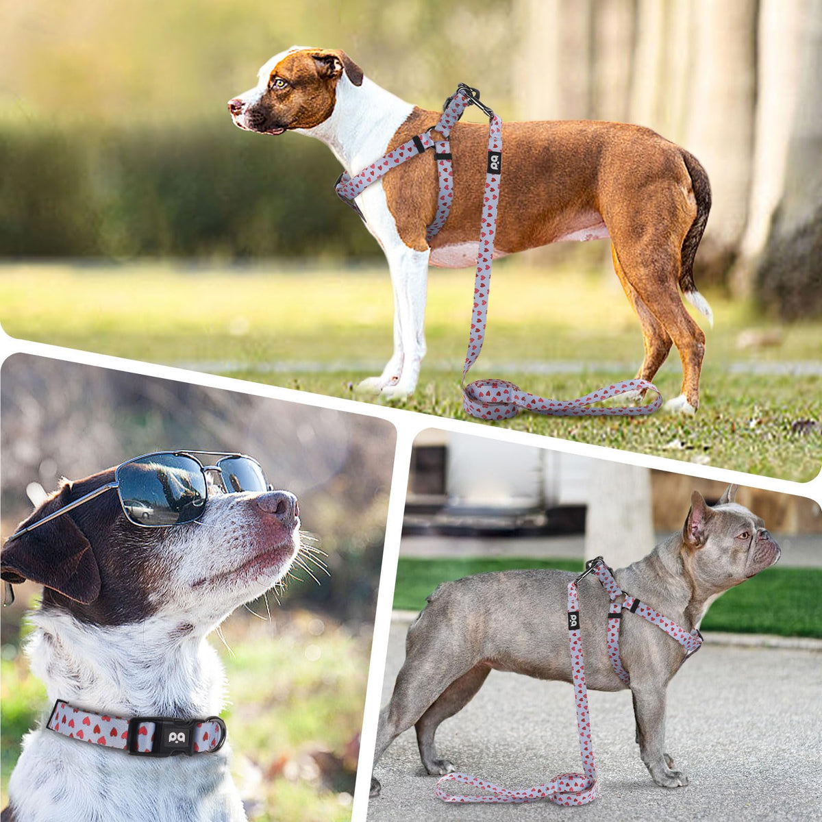 QQPETS Dog Harness Collar Leash - No Pull Pet Adjustable Back Clip Halter Basic Collar Heavy Duty 5FT Anti-Twist Leash for Extra Small Puppy Medium Large Breed Training Easy Walk(S,Blue Love)
