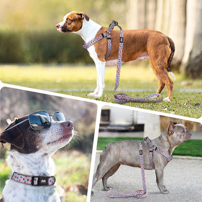 QQPETS Dog Harness Collar Leash - No Pull Pet Adjustable Back Clip Halter Basic Collar Heavy Duty 5FT Anti-Twist Leash for Extra Small Puppy Medium Large Breed Training Easy Walk(S,Blue Love)