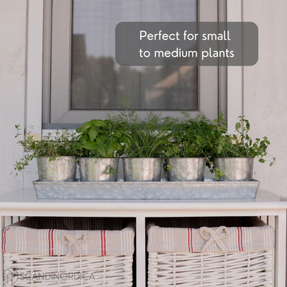 SCANDINORDICA Galvanized Herb Planter – 5 Herb Pots with Drainage Holes and Tray, Windowsill Planter, Indoor Herb Garden Planter Outdoor, Herb Pots for Indoor Plants | Windowsill Herb Garden