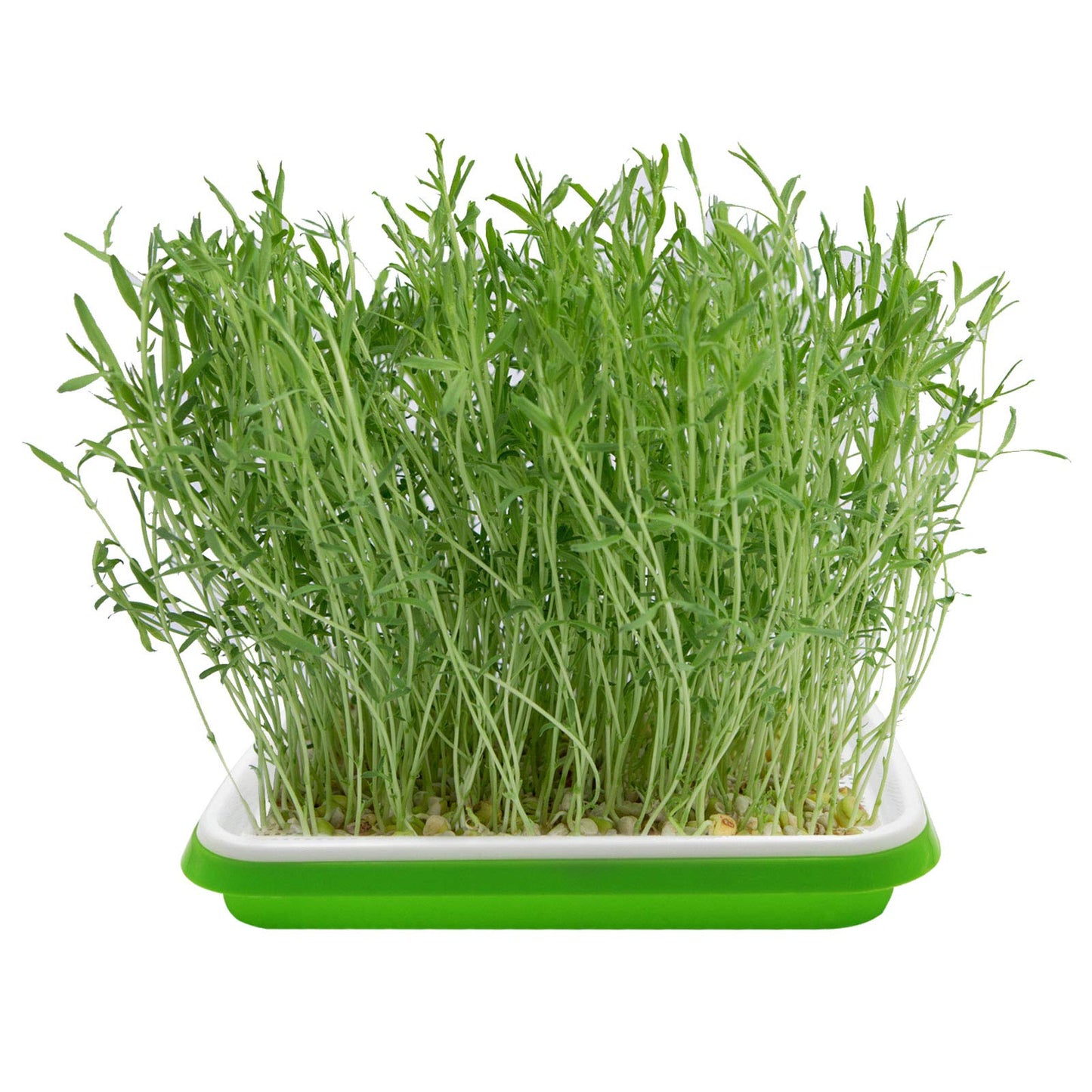 5 Layers Seed Starter Kit - Seed Sprouter Trays with Clear Lid & Stainless Steel Shelf, Soil-Free Germination Trays for Indoor/Outdoor Microgreens, Wheatgrass Mung Beans Cat Grass & Seedling Growing