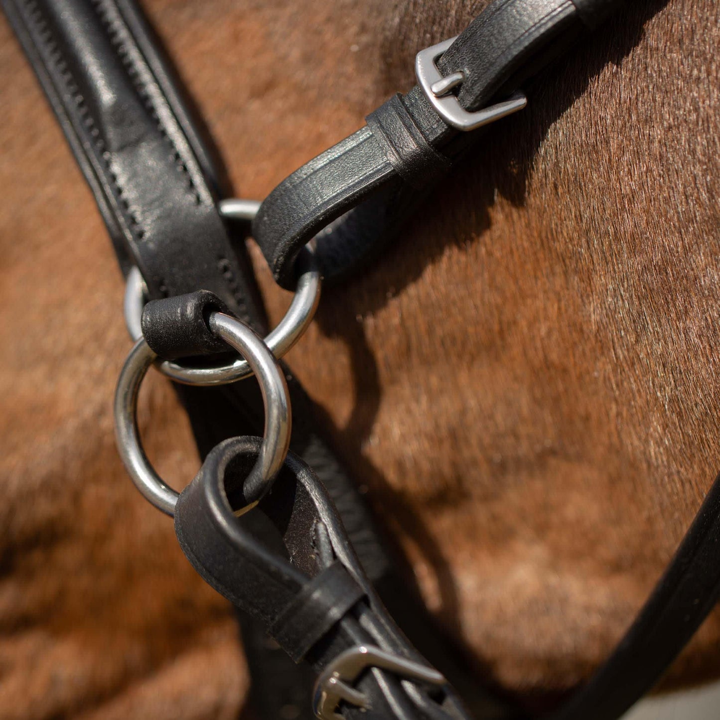 Equinavia Saga Cross-Under English Bitless Bridle for Horses | Reins Included - Chocolate Brown - Cob