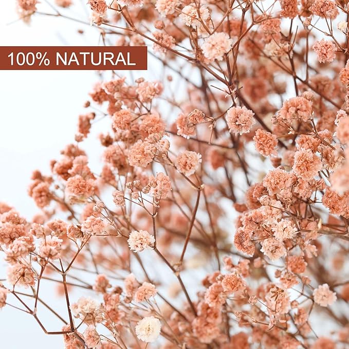 Babys Breath Dried Flowers Bouquet-17'' 1800+ Ivory Dry Flowers, Natural Gypsophila Branches for Wedding, Home Table Vase Decor, DIY Wreath Floral, Fall Thanksgiving Autumn Decoration (Brown, 2oz)