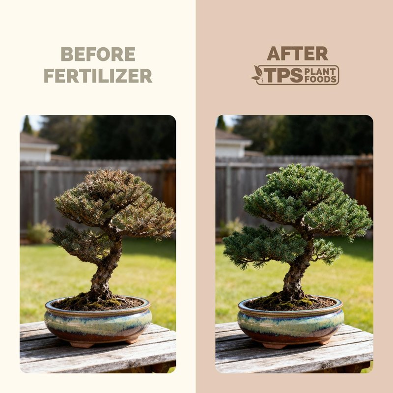 Bonsai Fertilizer – Liquid Plant Food for Healthy Growth, Vibrant Foliage & Stronger Root Development, 8 oz