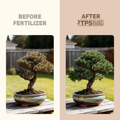 Bonsai Fertilizer – Liquid Plant Food for Healthy Growth, Vibrant Foliage & Stronger Root Development, 8 oz