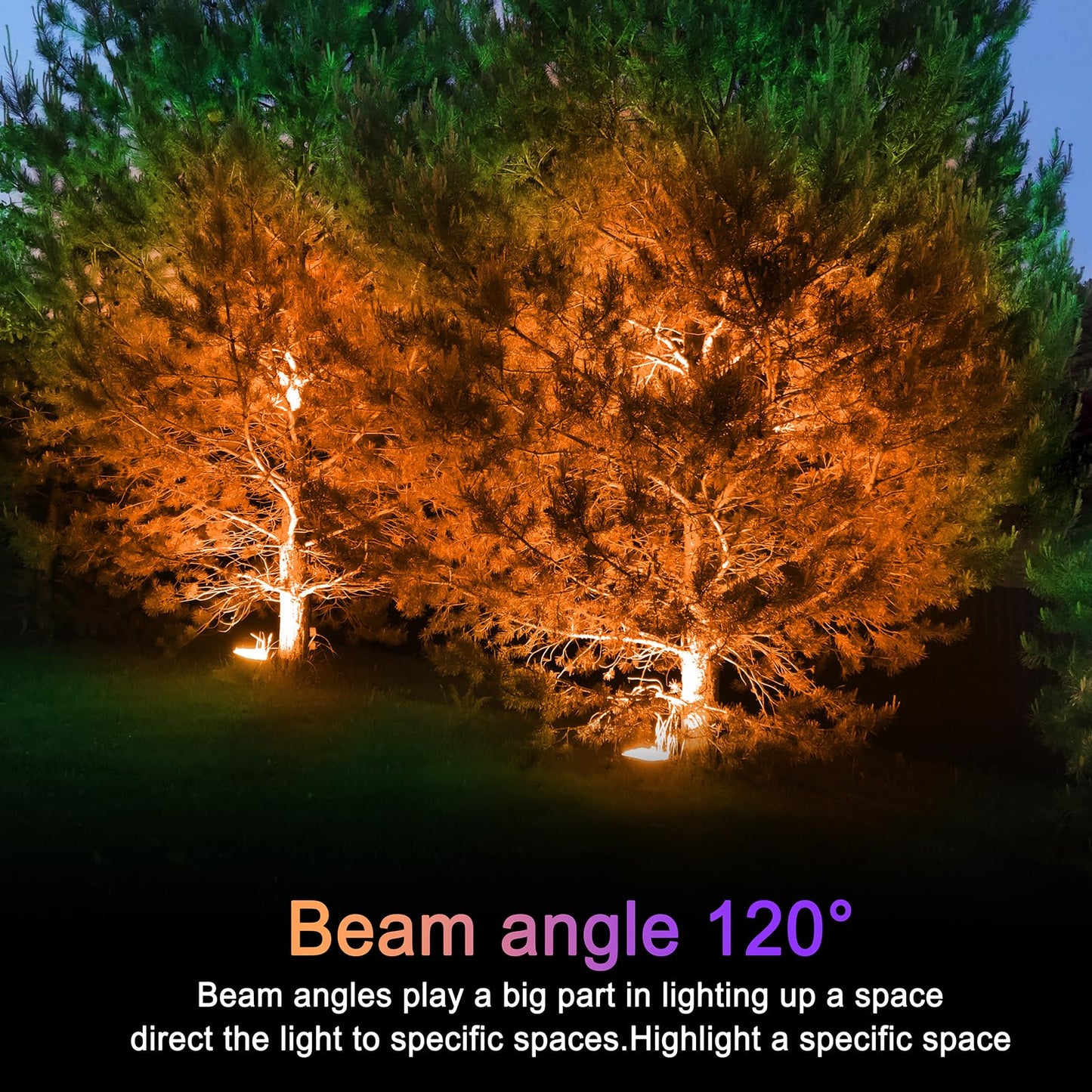 LOXYEE PAR38 Flood Orange Light Bulbs,4 Pack Dimmable,E26 Base Orange Flood Light Outoor(20W Replace to 200W),Halloween Light Bulb for Outside,Christmas,Holiday Lighting