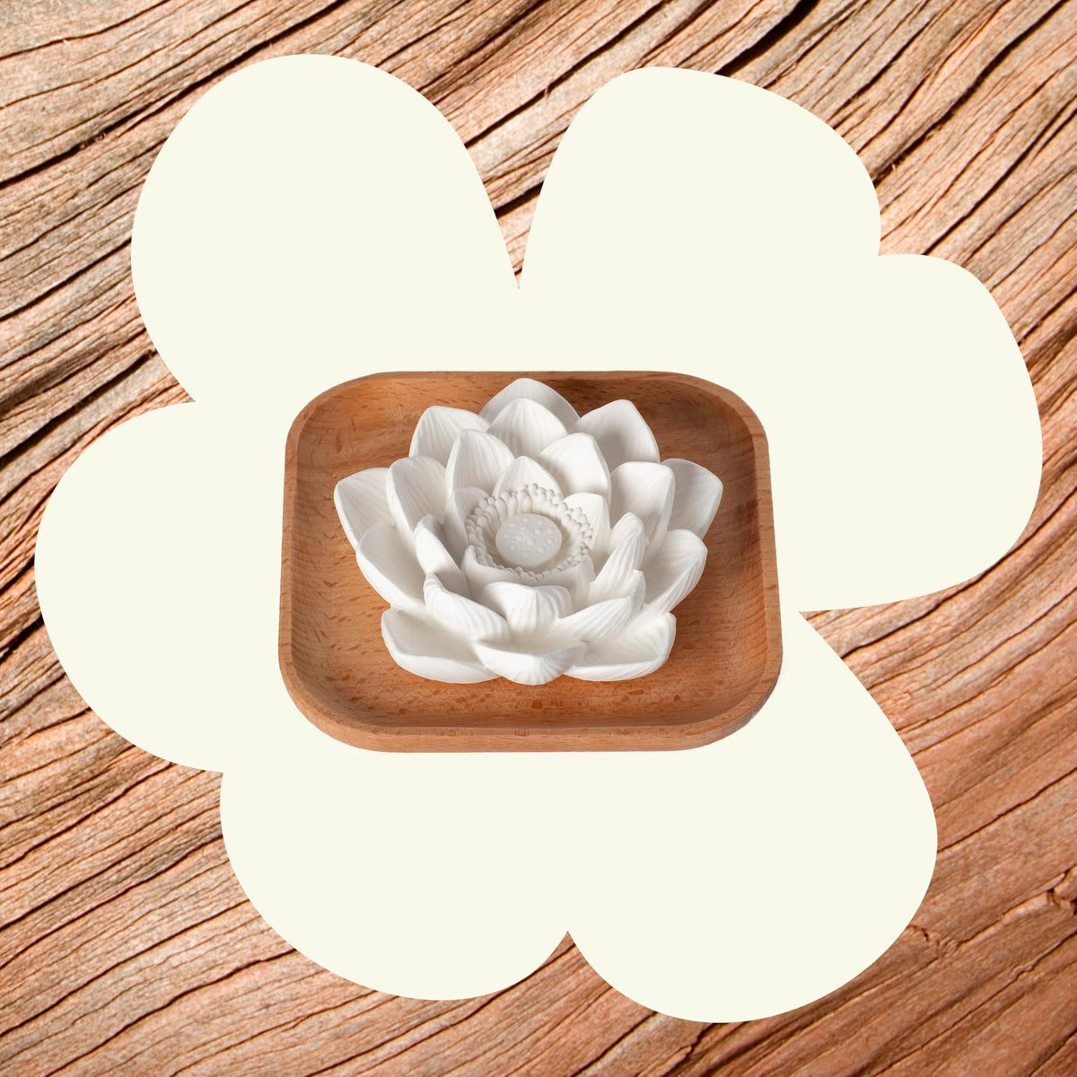 Plant Therapy Passive Lotus Flower Aromatherapy Diffuser - A Chic and Natural Home, Office, and Travel Essential Oil Diffuser