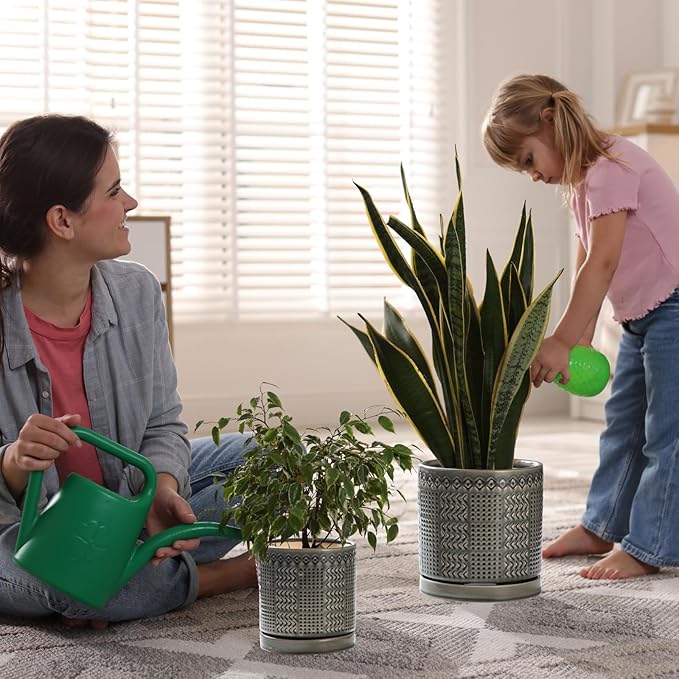 Indoor-Outdoor Ceramic Plant Pots: 6 Inch Flower Pots with Drainage Hole & Saucer - Decorative Ceramic Pots for Plants Herbs Succulents - Home Garden Patio Lawn Use (Grey)