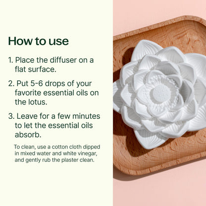 Plant Therapy Passive Lotus Flower Aromatherapy Diffuser - A Chic and Natural Home, Office, and Travel Essential Oil Diffuser