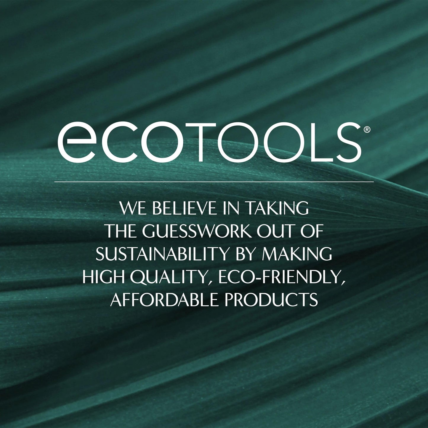 EcoTools Deep Cleansing Facial Brush, Manual Facial Cleansing Brush Exfoliates & Deeply Cleanses, Remove Makeup & Dry Skin, Eco-Friendly Face Brush for Cleansing, Color May Vary, 1 Count