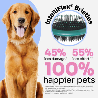 Wet Brush Ultimate Dual-Sided Detangling Brush - Ultra Soft IntelliFlex Bristles, Removes Loose Hair & Dirt for Dogs, Cats, Rabbits - Teal