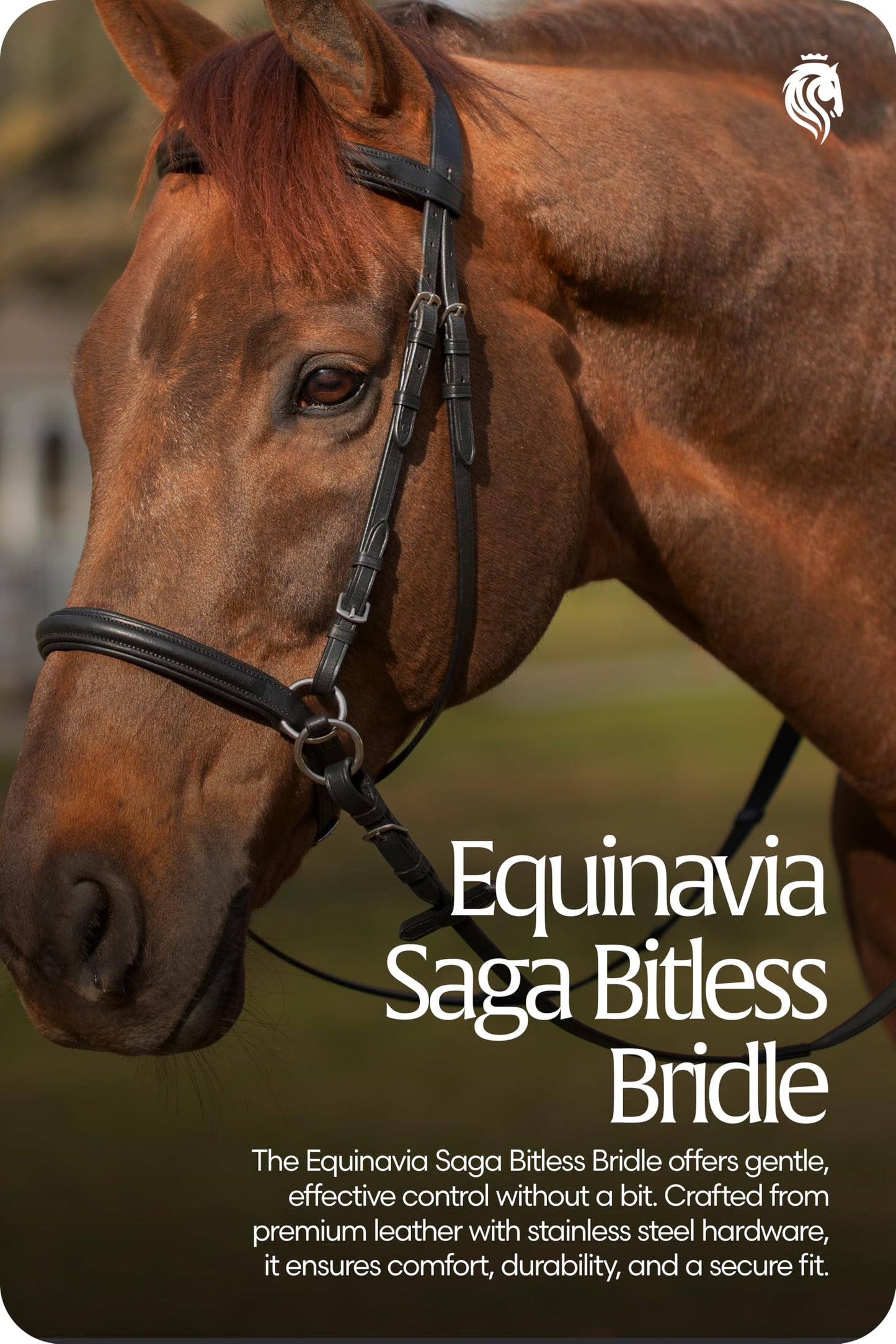 Equinavia Saga Cross-Under English Bitless Bridle for Horses | Reins Included - Black - Cob