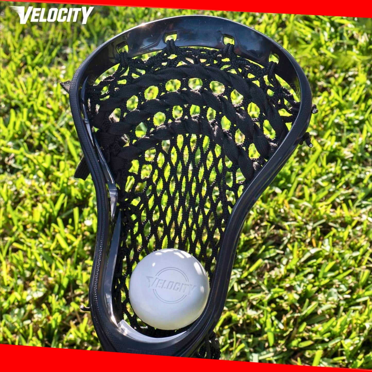 Velocity Practice Lacrosse Balls - 1, 2, 3, 6, 12, 18, 24, 36, 60 and 120 Packs - Official Size and Weight - Teal