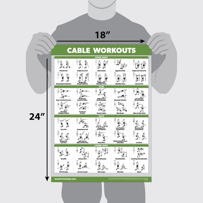 Palace Learning 4 Pack - Cable Machine Workouts + Dumbbell Workouts Vol 1 & 2 + Bodyweight Exercises - Set of 4 Workout Charts (LAMINATED, 18” x 24”)