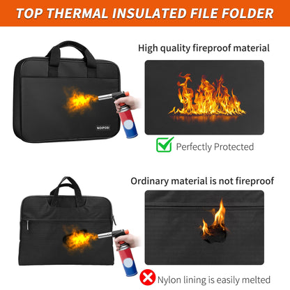 Noiposi Accordion Fille Organizer with Lock,Waterproof and Fireproof Document Folder with 13 Pocket,Fireproof Safe Document File Folder for Important Document,File Money and Passport