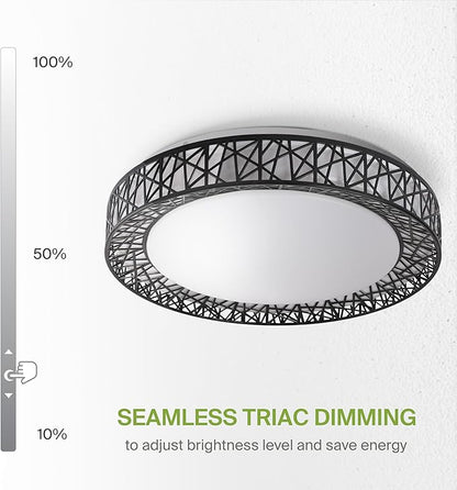 ASD 20 Inch Smart RGBW Flush Mount Ceiling Light with Remote - Matte Black 42W 120V 2700-6500K Dimmable Ceiling Light Fixture, WiFi App Control RGB Lights, Alexa & Google Assistant - ETL