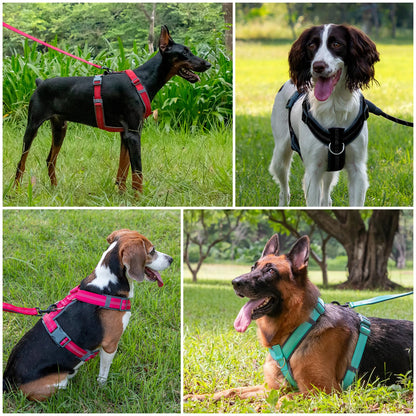 Plutus Pet No Pull Dog Harness, Adjustable Nylon Harness with Soft Padding, Reflective and Heavy Duty Dog Harness for Small, Medium, Large Dogs(Black, M)