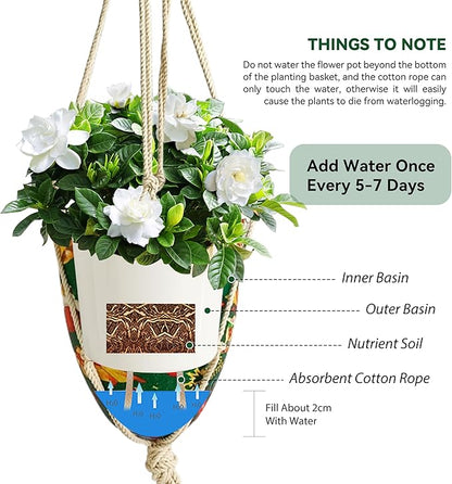 Hanging Planter Round Hanger Plant Pots - 2 Pack Outdoor Garden Flowerpots Plastic Indoor Modern Decorative Succulent Houseplant Pot 6FP-CMRG