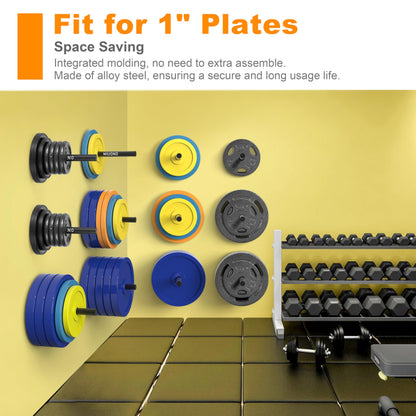 MIUONO Weight Plate Rack, Wall Mount Weight Plate Holder for 1" Plates, 5 Pack Weight Storage Racks Home Gym Organizer