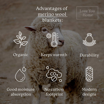 LYHome Merino Wool Blanket - Warm Throw for Cold Weather, Warmest Travel Outdoor Camping Blankets, Picnic Army and Military Throws, Comforter Soft & Cozy (55" x 79" Beige with White Chevron)