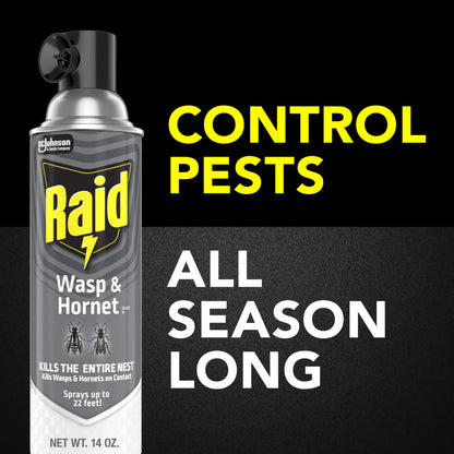 Raid Wasp & Hornet Killer Spray, Bug Killer Kills the Entire Nest, 14 Oz, 2 Count