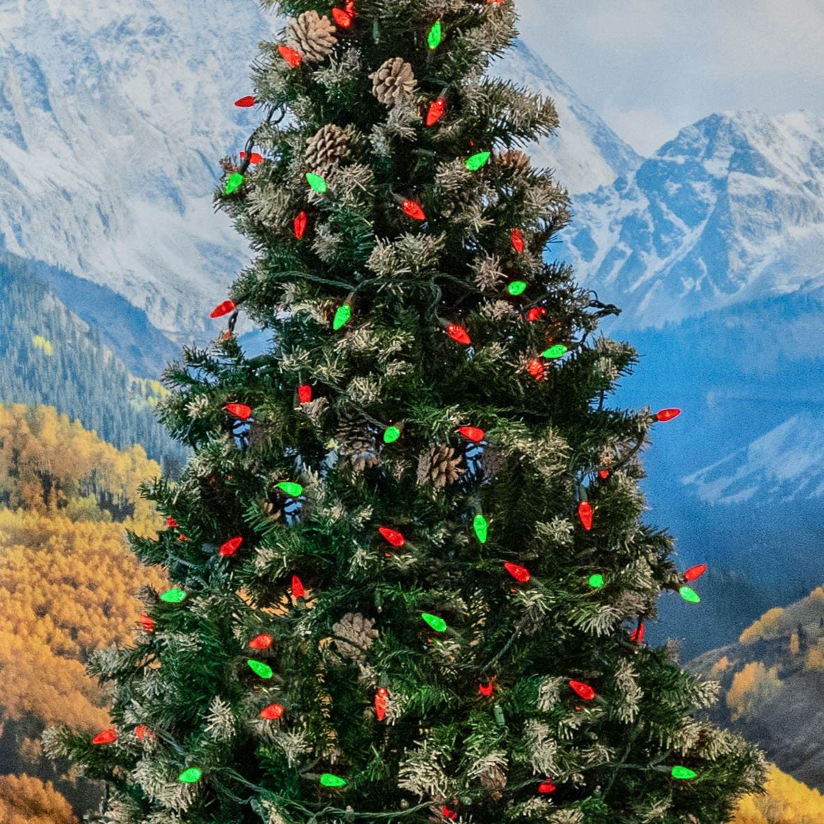 Novelty Lights 24FT 70 LED C6 LED Christmas Light String, Outdoor Christmas Tree Permanent Commercial Grade Decoration (Red/Green)