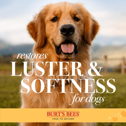 Burt's Bees for Pets Palm Brush with Hemp Bristles Best Ergonomic Dog Brush To Groom Large Dogs Easy to Hold Dog Brush Handle Reduces Stress On Your Wrist Ideal for Daily Grooming (Pack of 1)