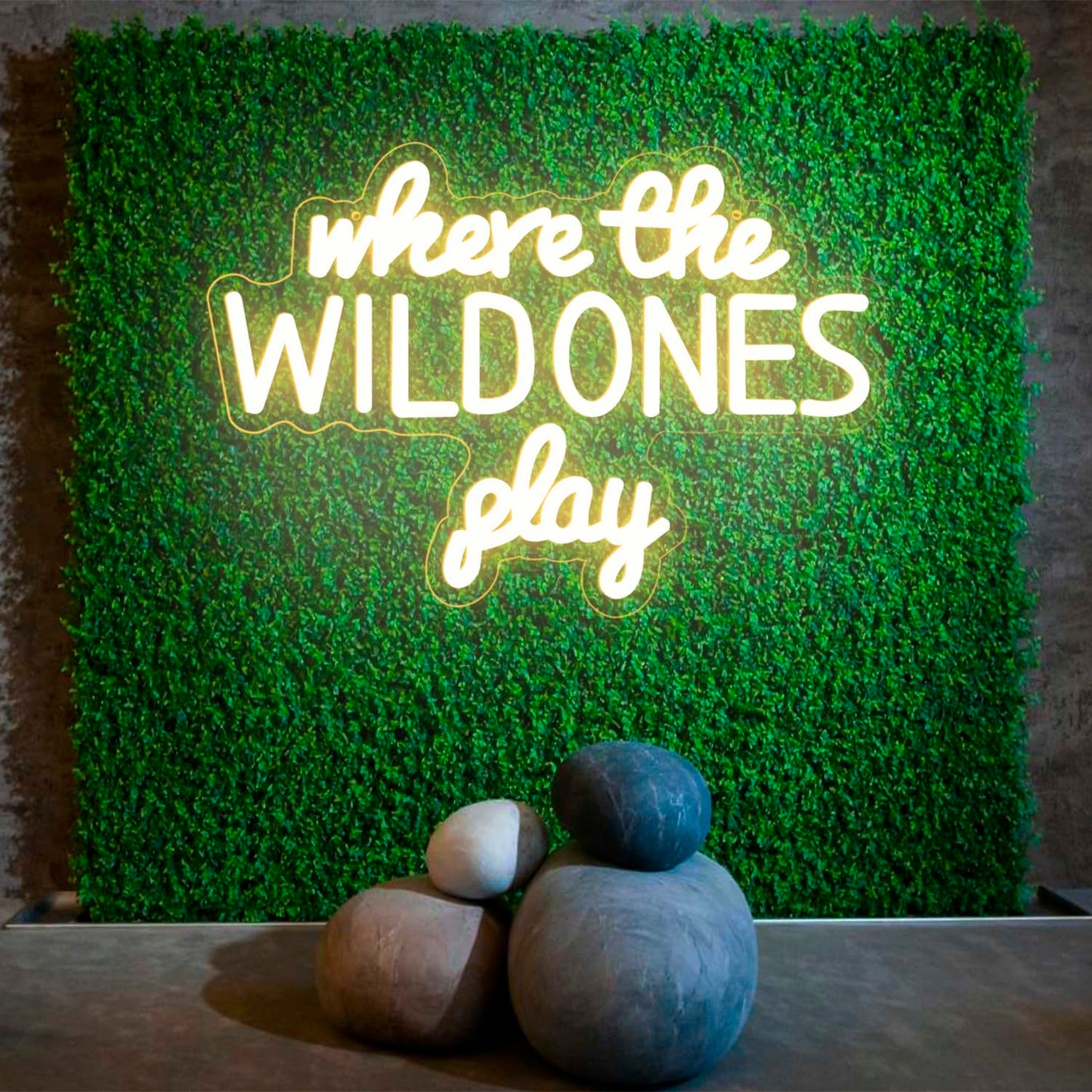 Where the Wild Ones Play Neon Sign Dimmable Neon Signs for Wall Decor Letter LED Signs USB Light Up Sign for Playroom Wall Decor Playroom Decoration Essentials