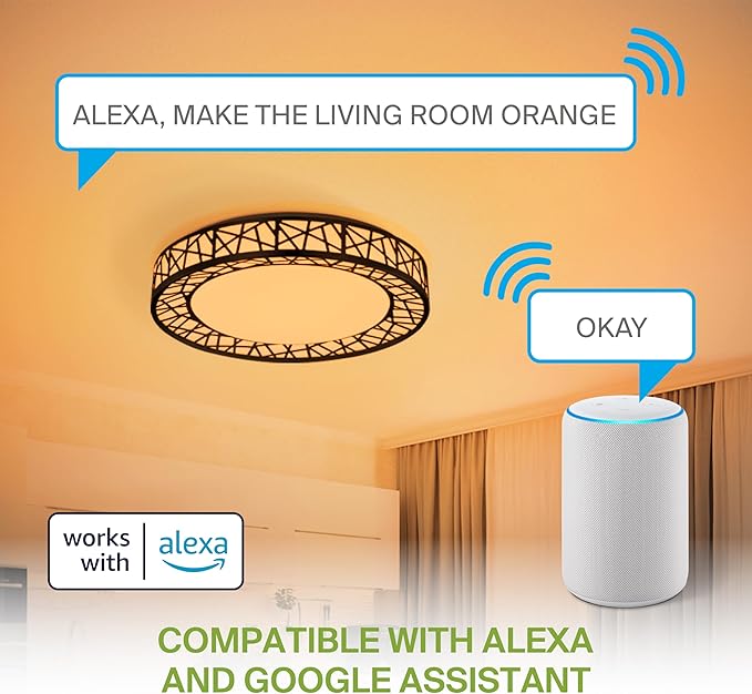ASD 12 Inch Smart RGBW Flush Mount Ceiling Light with Remote - Matte Black 20W 120V 2700-6500K Dimmable Ceiling Light Fixture, WiFi App Control RGB Lights, Alexa & Google Assistant - ETL