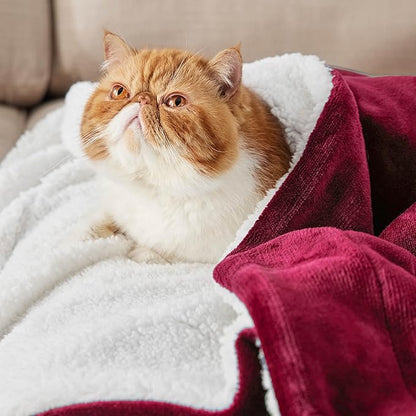 Bedsure GentleSoft Sherpa Fleece Blankets Queen Size for Bed - Thick and Warm Throw for Women, Soft Fuzzy Plush Queen Christmas Blanket for Winter, Red, 90x90 Inches