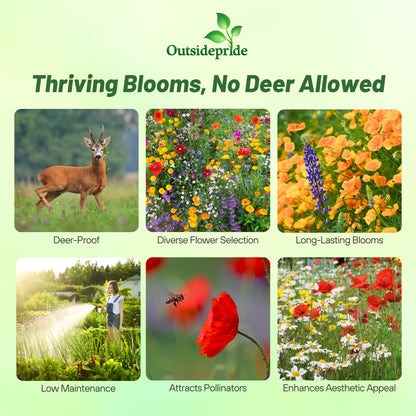 Outsidepride Deer Proof Wildflower Seed Mix - 1 lb. Colorful Blend of Easy to Grow, Drought-Tolerant Annual & Perennial Wildflower Seeds for a Deer-Free,Vibrant Meadow & Pollinator-Friendly Garden
