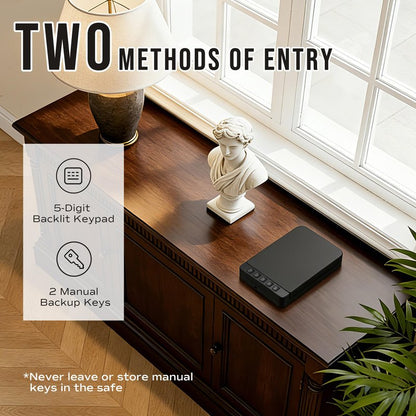 RPNB Gun Safe, Portable Gun Safe for Handgun, Smart Pistol Safes with Backlit Digital Keypad, Handgun Safes Perfect for Nightstand Bedside, Small Gun Case for Car