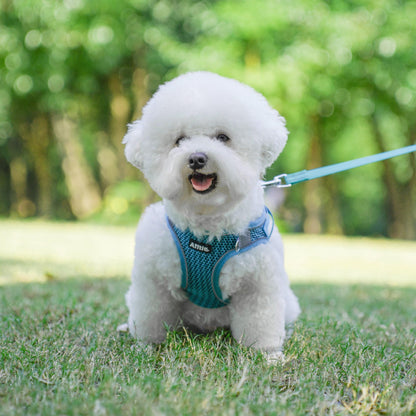 AIITLE Step in Dog Harness and Leash Set for Walking - Adjustable Dog Harness with Padded Vest for All Weather, Reflective Adjustable Pet Harness, Easy to Put on Small Dogs Turquoise S