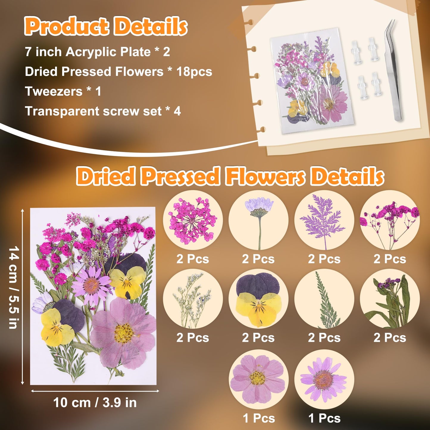 Okayera Dry Flower Frame Night Light, Bedroom DIY Pressed Flowers Kits Lamp With Sapele Wood Base, Home Living Room Decoration Gifts Idea For Mother Friend Lover