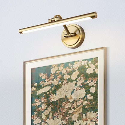 Modern Dimmable Picture Lights for Wall 15.7 Inch Hard-Wired LED Picture Frame Lights for Paintings Gallery Light with Adjustable Swing Arm Display Lights For Artwork, 7W, 2700K, Warm White - Brass