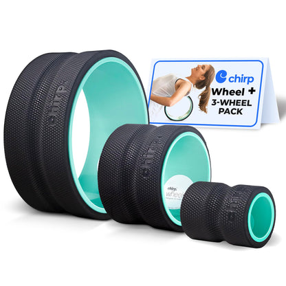 Chirp Wheel Foam Roller – Targeted Back & Neck Relief, Lumbar Spine Stretcher, Spinal Decompression Back Stretcher, Massage Roller with Density Foam for Physical Therapy, Supports 500lbs, 2-Inch Mint