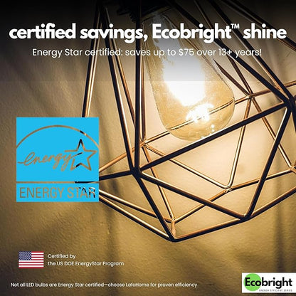 EcoBright ST19/ST64 LED Filament Bulbs, Dimmable, 60W Equivalent, 9W, 800 Lumens, 2700K Warm White, CRI90+, E26 Base, Flicker-Free, Edison Chandelier, ETL/FCC Certified (4 Pack)