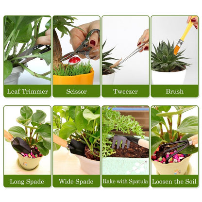 9PCS Basic Bonsai Tools Set, Bonsai Tree Kit Mini Garden Tools Includes Pruning Shears, Mini Rake, Fold Scissors and More