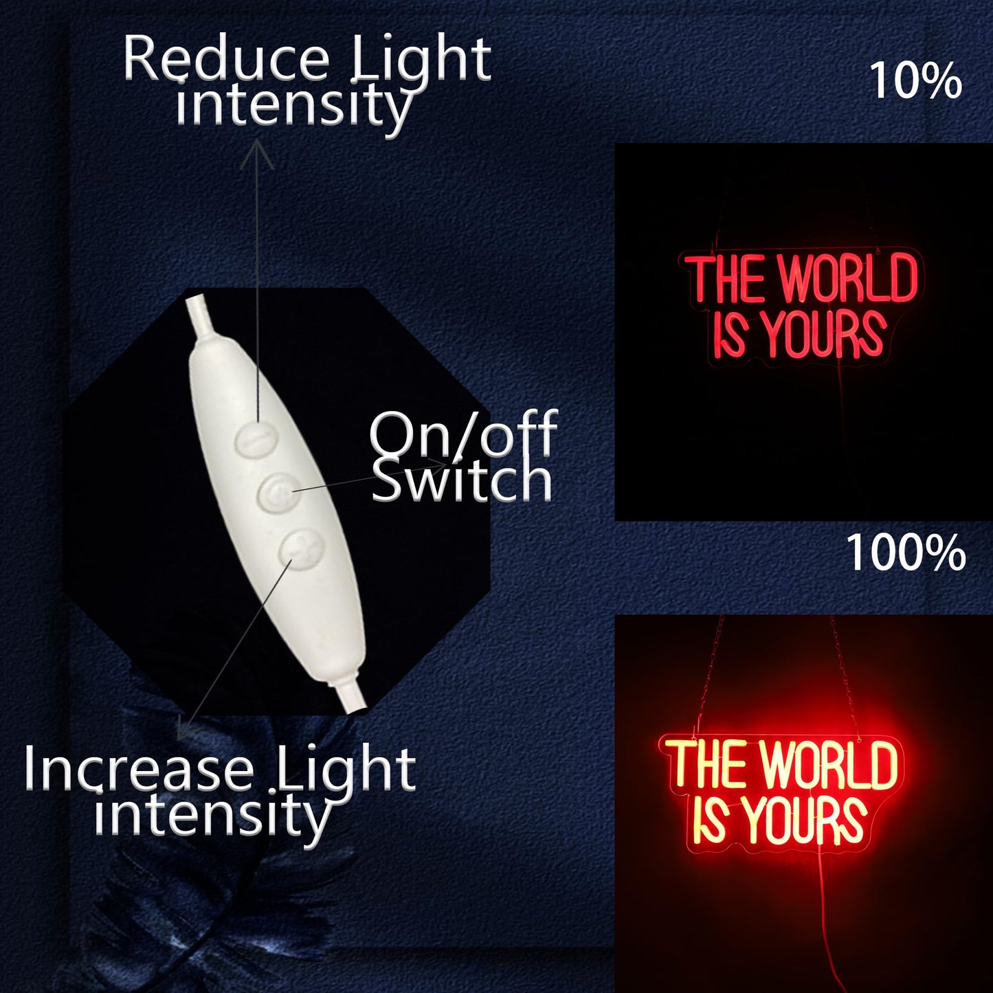 The World Is Yours Neon Sign Dimmable The World is Yours LED Sign Wall Decor Gift Suitable for Bedroom Game Room Man Den Cinema Party 14 * 6.8 Inch