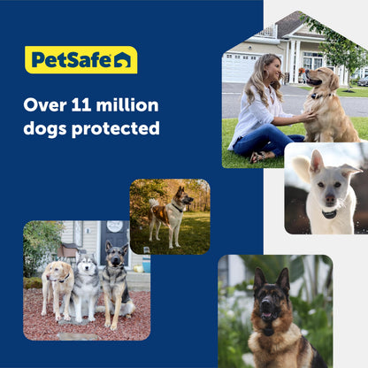 PetSafe Stubborn Dog In-Ground Pet Fence for Dogs and Cats - from The Parent Company of Invisible Fence Brand – Boundary Wire Not Included – Pick Your Wire Gauge Separately