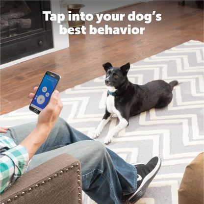 PetSafe Smart Dog Training Collar – Uses Smartphone as Handheld Remote Control – Tone, Vibration, 1-15 Levels of Static Stimulation – Bluetooth Wireless System – All in One Pet Training Solution