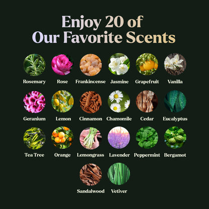 Lagunamoon Essential Oils Set - Top 6 Blends for Diffusers, Home Care, Candle Making Scents, Fragrance, Aromatherapy, Humidifiers, Gifts - Peppermint, Tea Tree, Lavender, Eucalyptus, Orange (10mL)