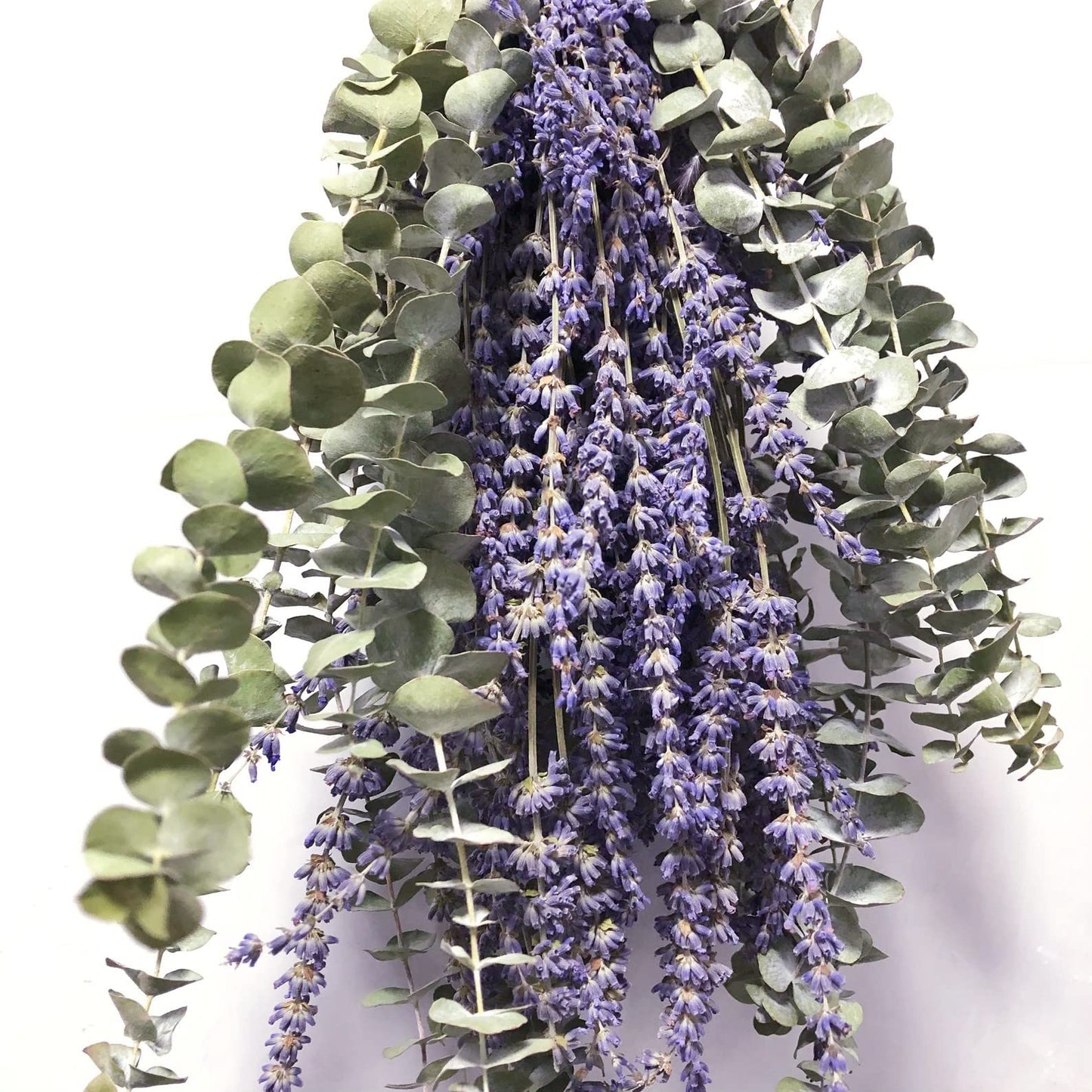 120 PCS Dried Eucalyptus Stems & Lavender Flowers Bundle for Shower, 17'' Natural Real Live Eucalyptus Leaves Greenery Stems & Aromatic Lavender Shower Plant,Gift for Mother,Fragrance, Decor