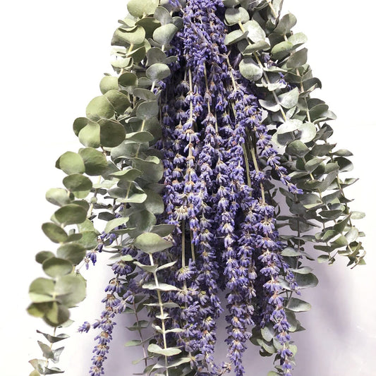 120 PCS Dried Eucalyptus Stems & Lavender Flowers Bundle for Shower, 17'' Natural Real Live Eucalyptus Leaves Greenery Stems & Aromatic Lavender Shower Plant,Gift for Mother,Fragrance, Decor